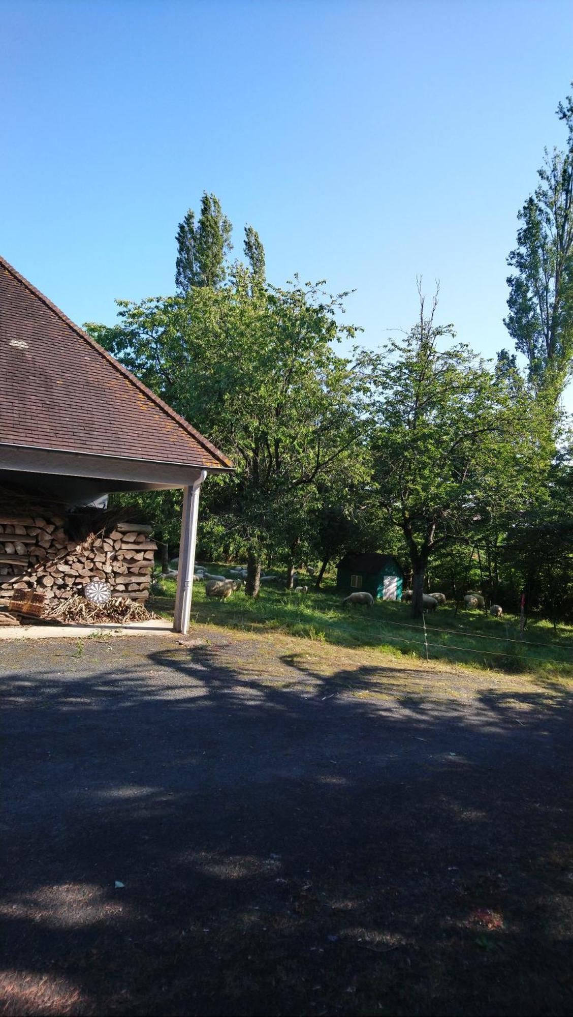 Les Allees Du Chateau Le Mazeau Exteriör bild