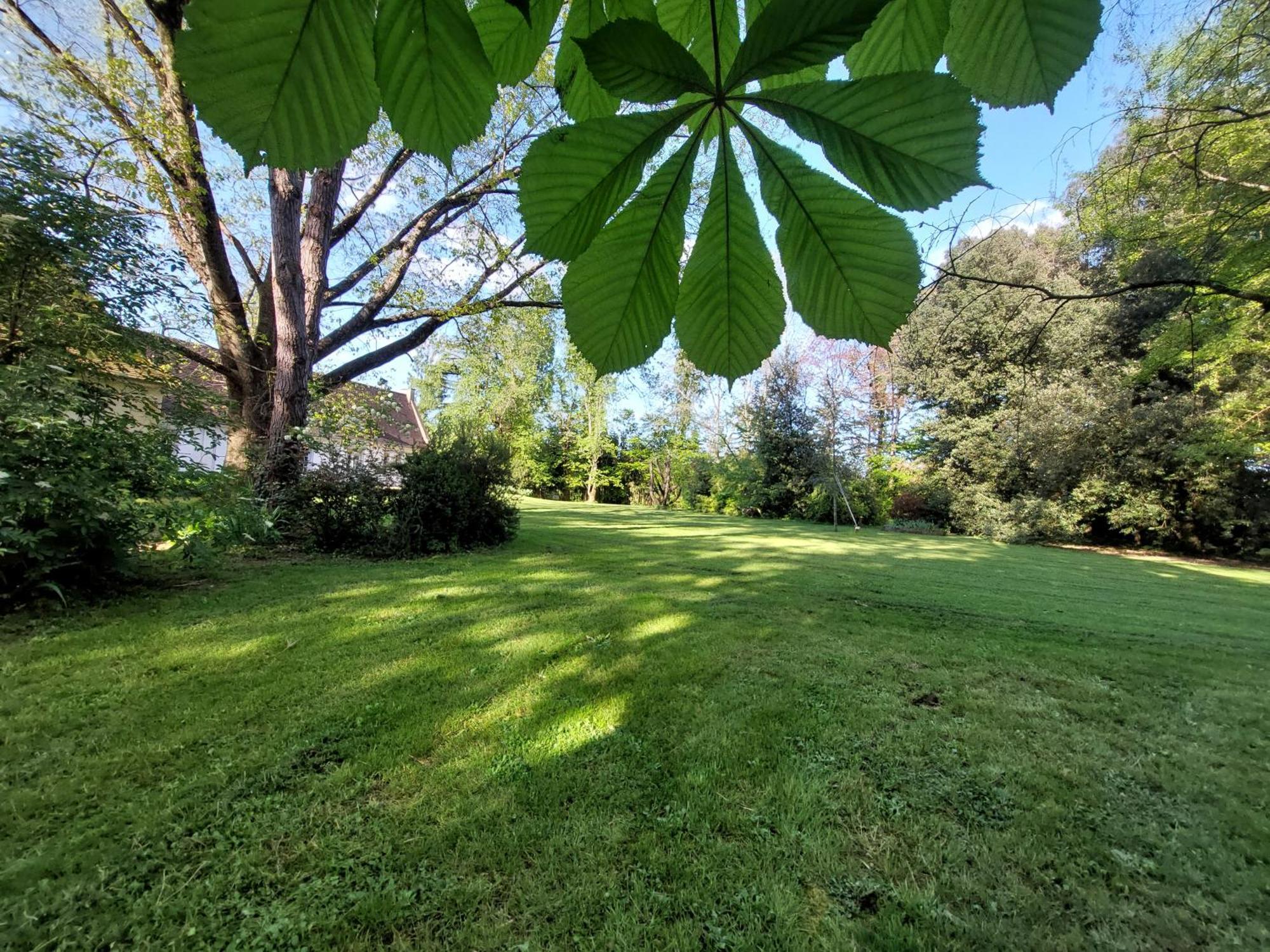 Les Allees Du Chateau Le Mazeau Exteriör bild