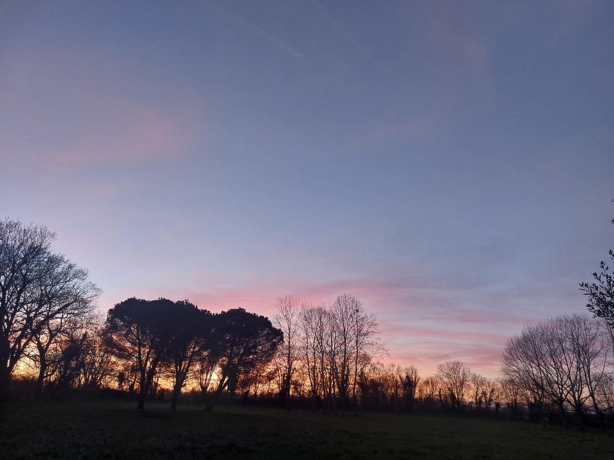 Les Allees Du Chateau Le Mazeau Exteriör bild