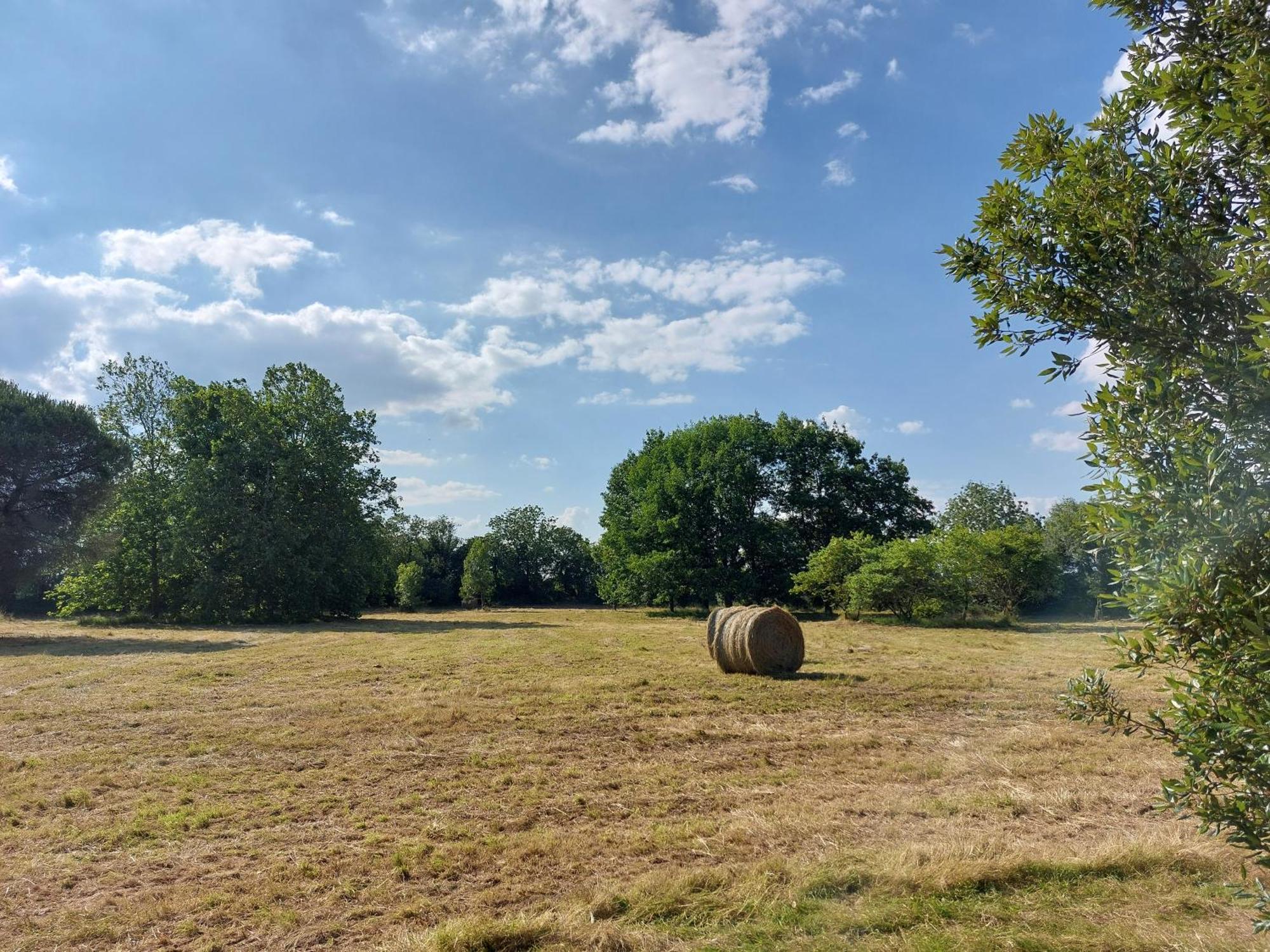 Les Allees Du Chateau Le Mazeau Exteriör bild